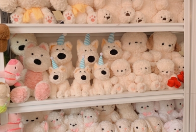 Giặt gấu bông như thế nào là đúng cách