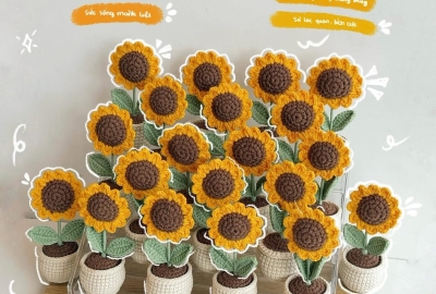 Chậu Hoa Len Handmade Trang Trí Bàn Làm Việc Đẹp & Ý Nghĩa