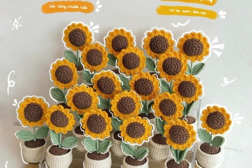 Chậu Hoa Len Handmade Trang Trí Bàn Làm Việc Đẹp & Ý Nghĩa