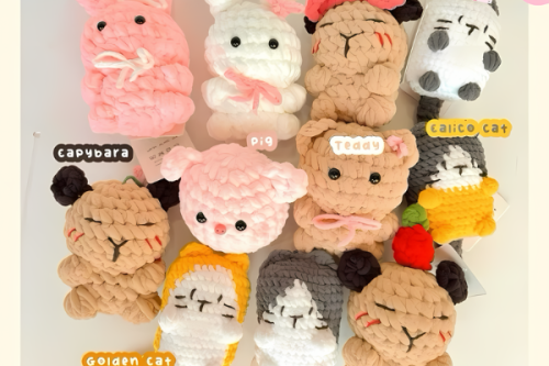 Giao hàng nhanh toàn quốc