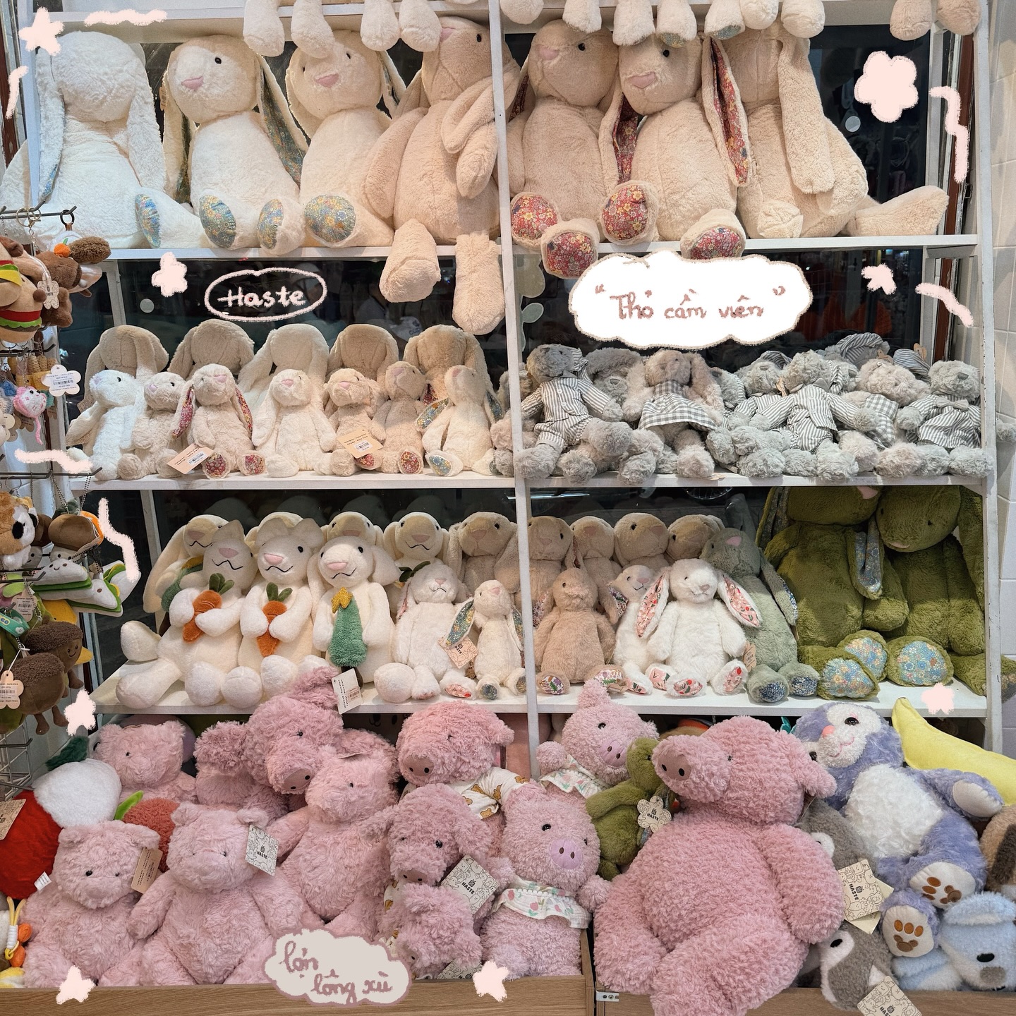 Gấu Bông Teddy Haste – Sự Khác Biệt Tạo Nên Giá Trị