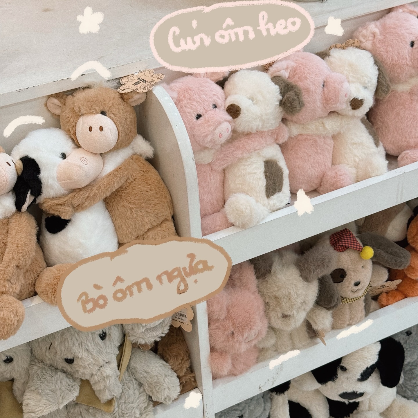 Cách Chọn Gấu Bông Teddy Nhỏ Xinh Phù Hợp