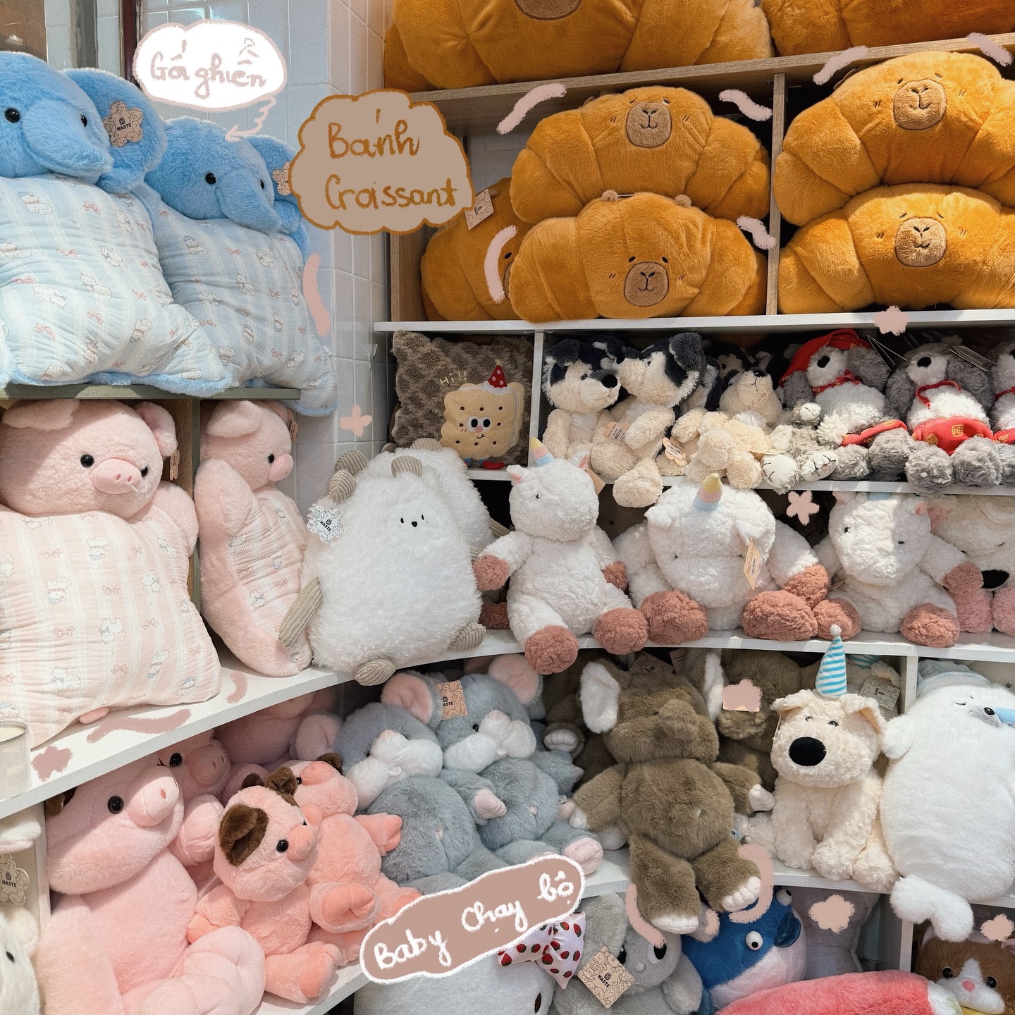 Cách Chọn Gấu Bông Teddy Nhỏ Xinh Phù Hợp