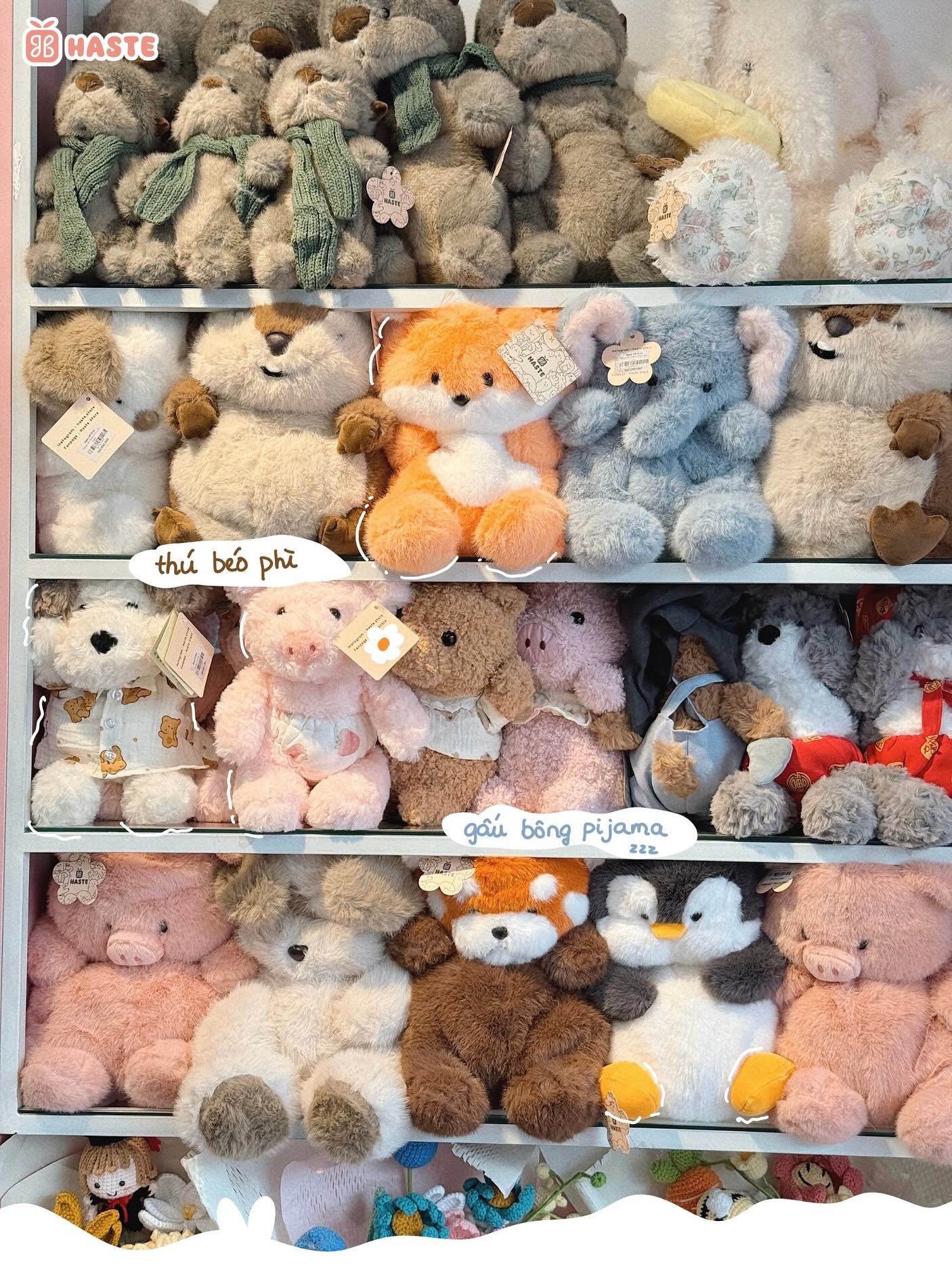 Xu Hướng Gấu Bông Teddy 2026