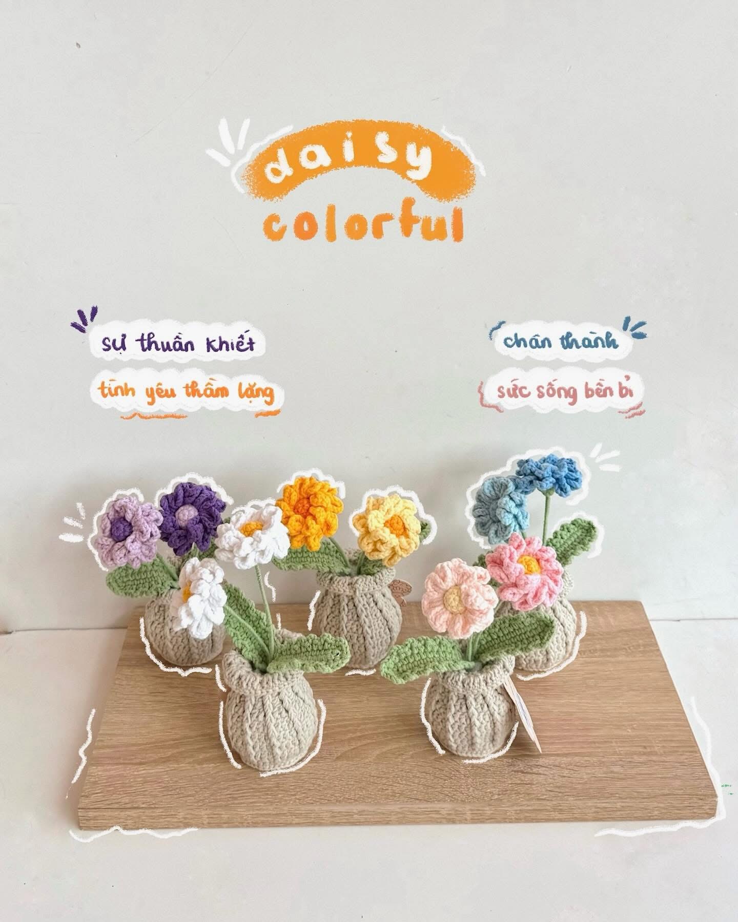 Chậu hoa hồng thủ công dễ thương, quà tặng handmade độc đáo từ Haste.vn