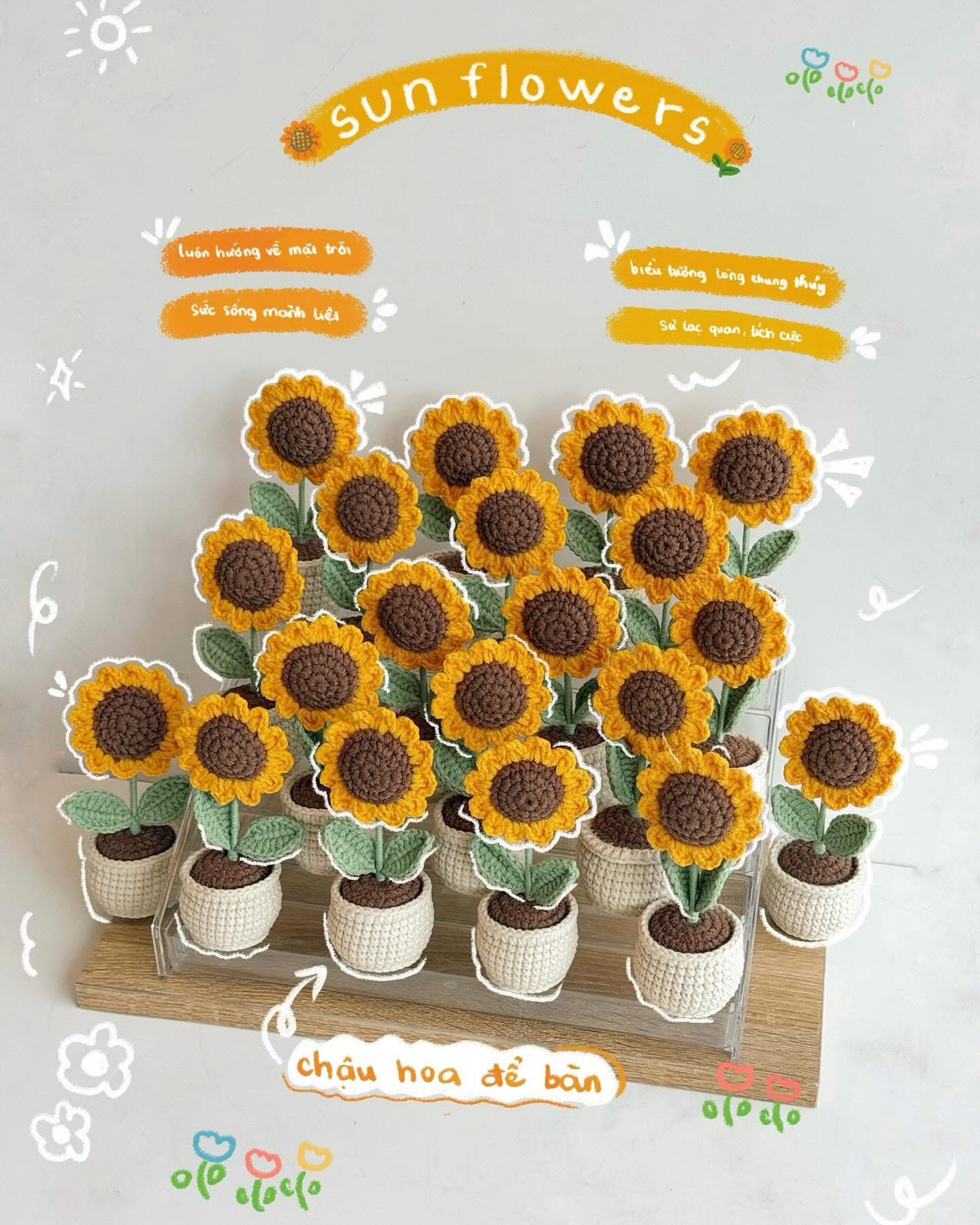 Chậu hoa hướng dương nhỏ nhắn, thích hợp để bàn và làm quà tặng ý nghĩa cho mọi người.