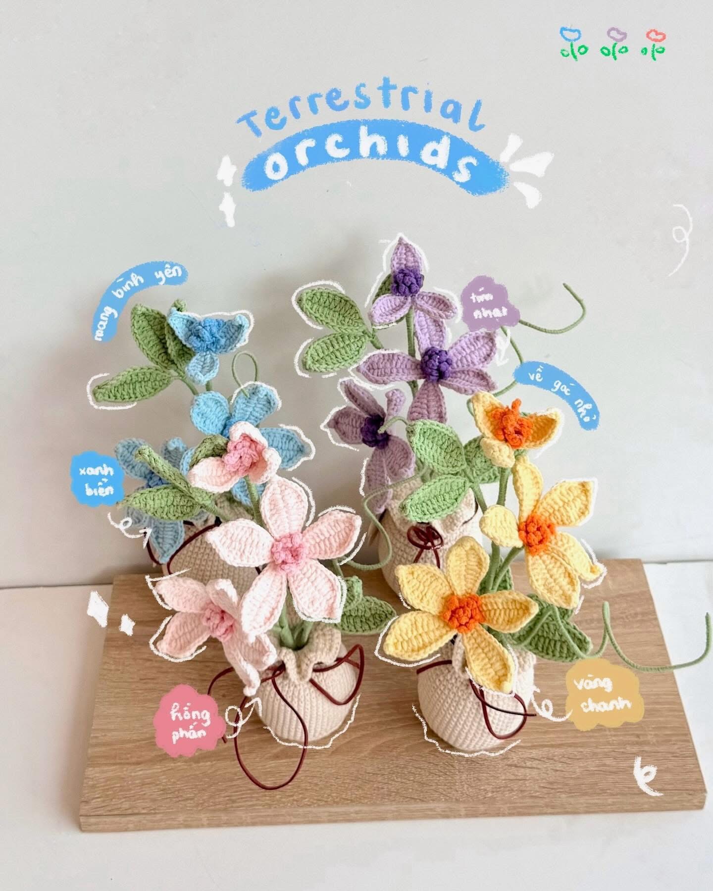 Hay những chậu hoa màu sắc nhẹ nhàng mang cảm giác thoải mái và bình yên