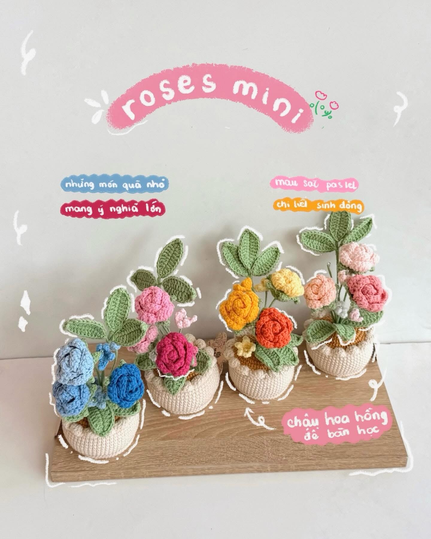 Chậu hoa hồng được những du khách nước ngoài vô cùng yêu thích