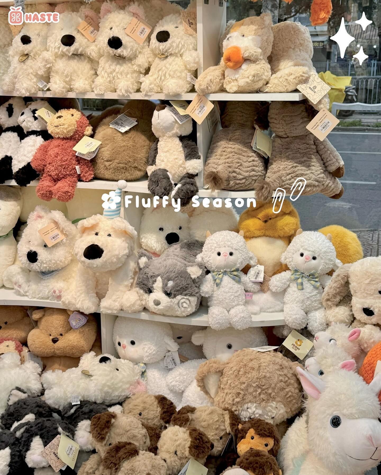 Xu Hướng Gấu Bông Teddy Hot Nhất 2026