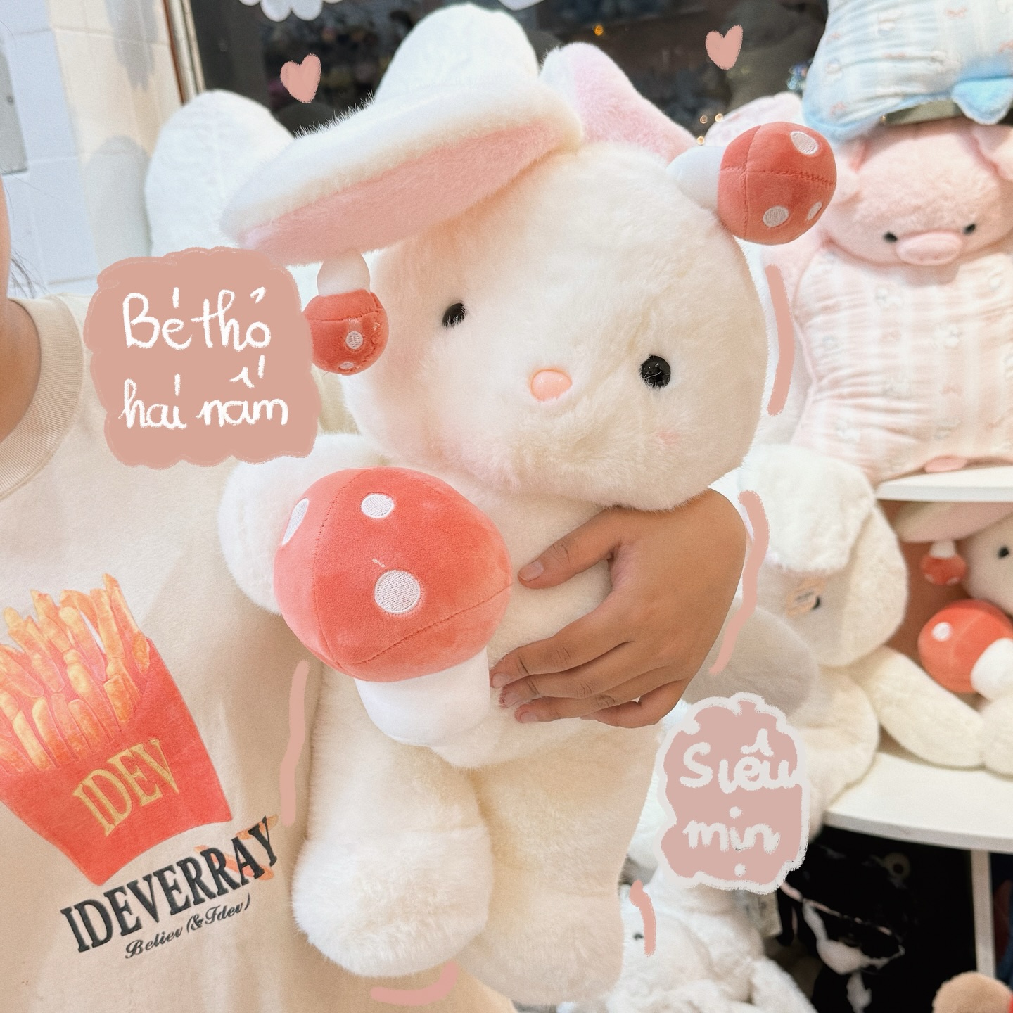 Gấu bông mini – Xu hướng quà tặng mùa thi được yêu thích
