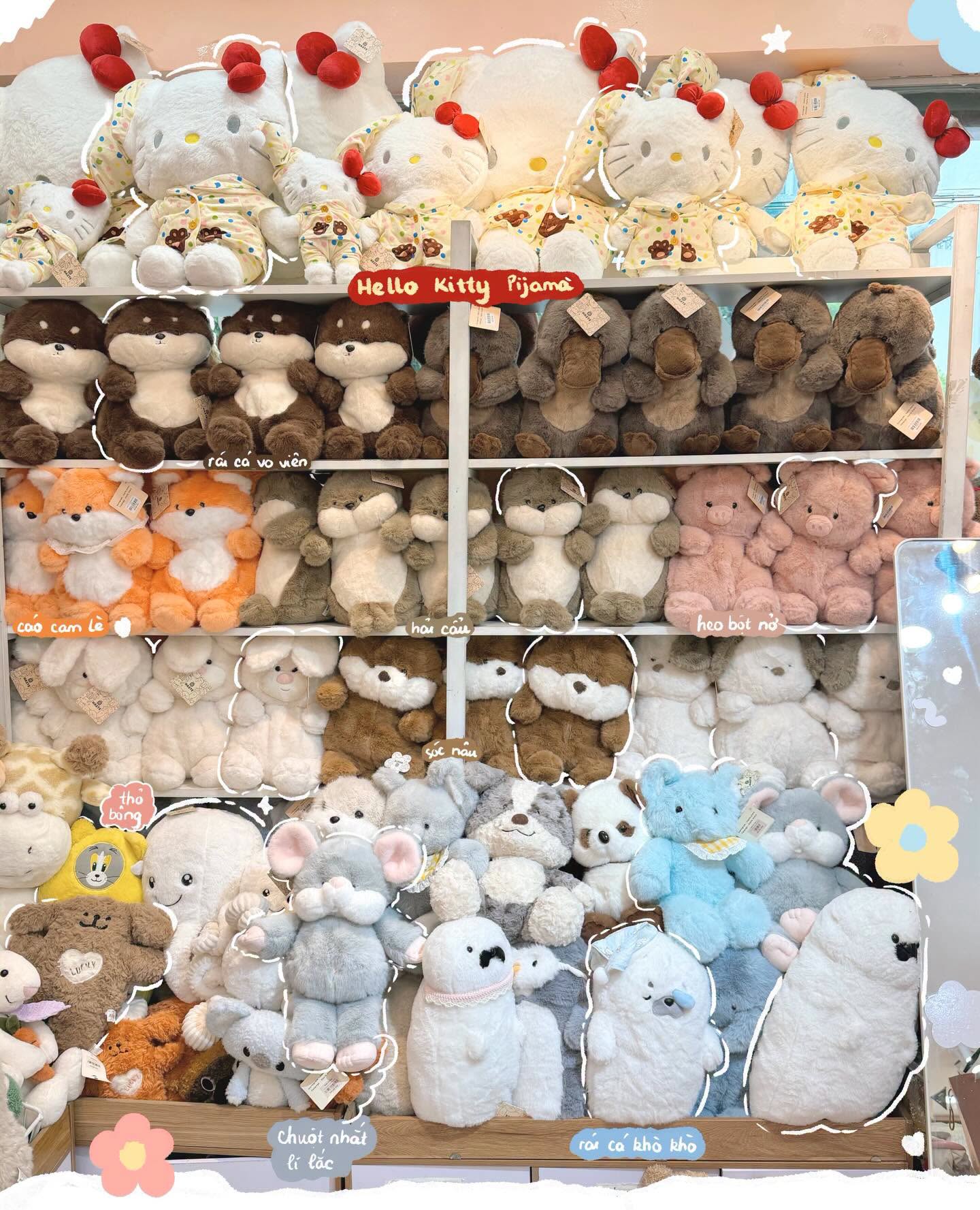 Vì sao nên chọn gấu bông Teddy tại Haste