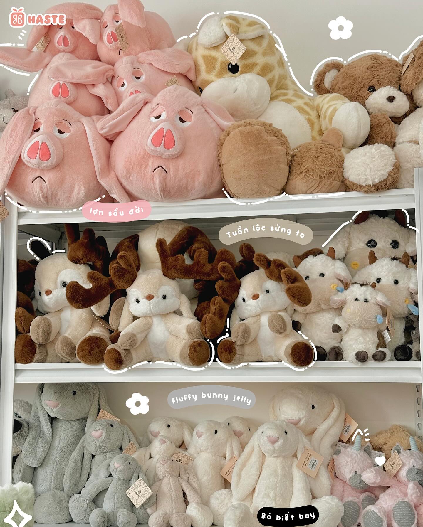 Gợi ý các loại gấu bông sinh nhật dễ thương cho bé gái