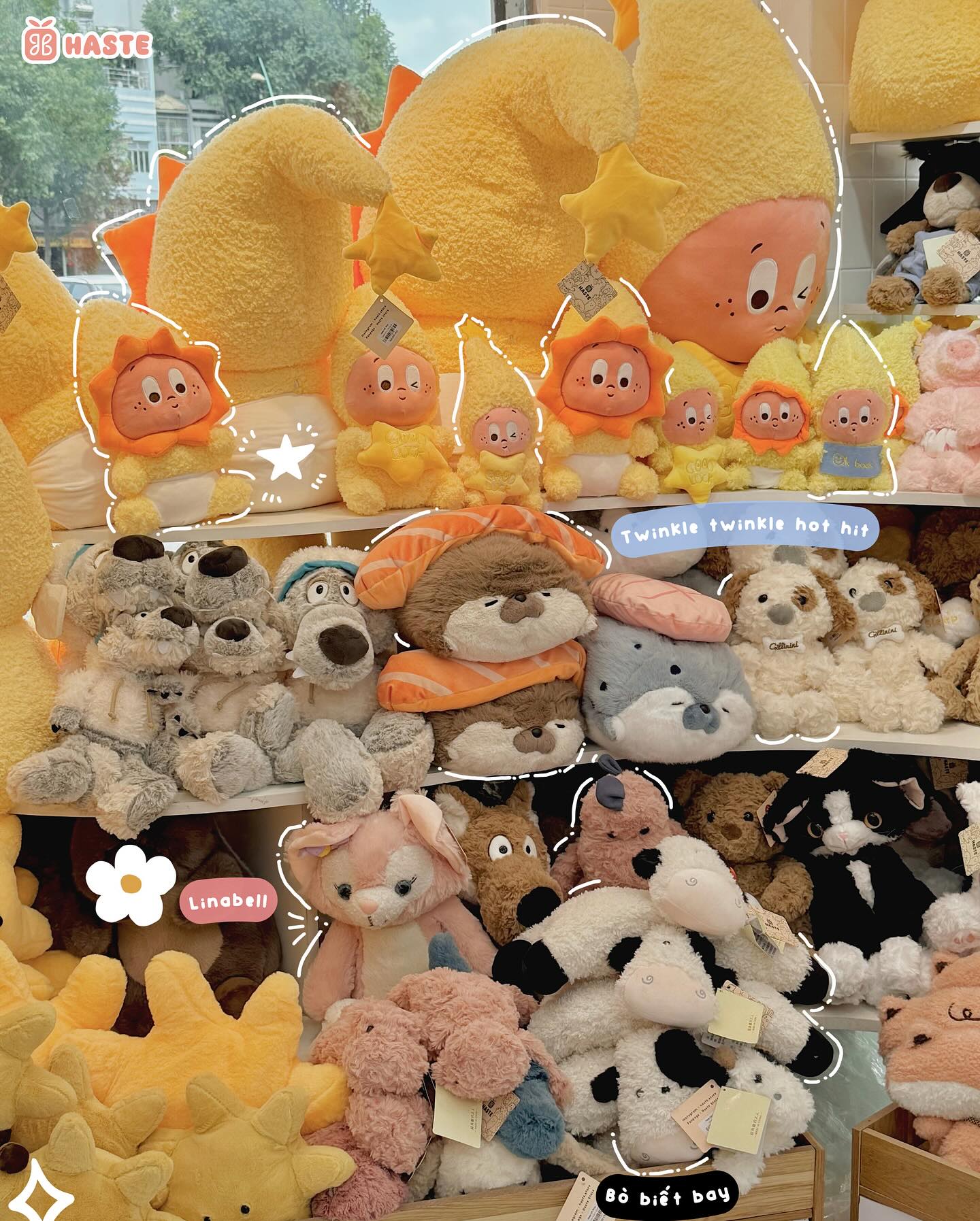 Lợi ích khi mua gấu bông sinh nhật tại Haste