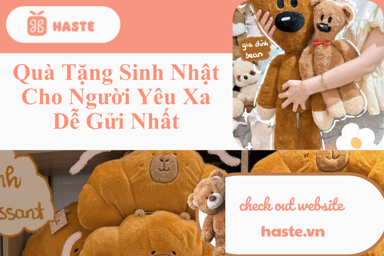 Quà Tặng Sinh Nhật Cho Người Yêu Xa Dễ Gửi Nhất – Gợi Ý Từ Gấu Bông Haste