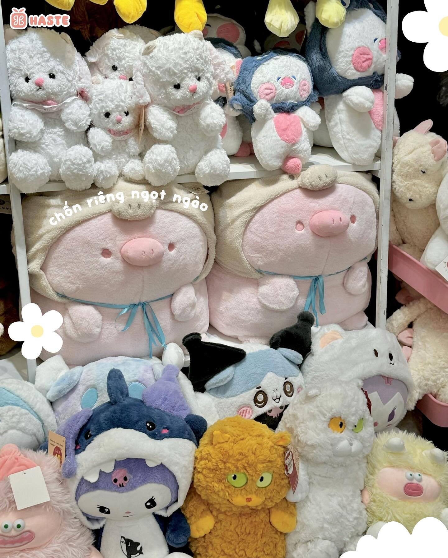 Những mẫu gấu bông cute nhỏ xinh này đặc biệt phù hợp với Gen Z.