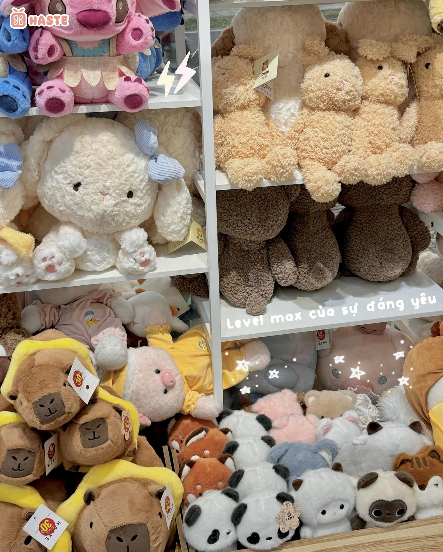 Vì sao nên mua gấu bông nhỏ xinh tại Haste