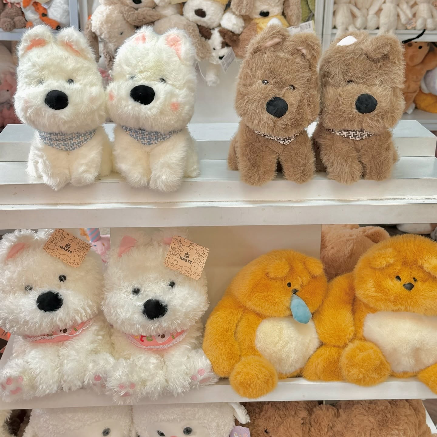 Xu hướng gấu bông nhỏ xinh trong năm 2026